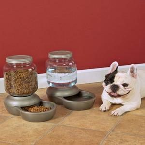 Dog water bowl automatic