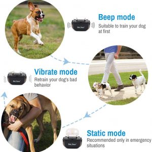 top dog training collar