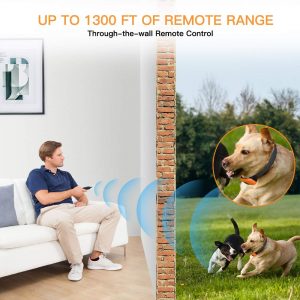 Shock collar for small dogs