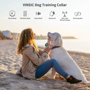 Best Shock collar for small dogs