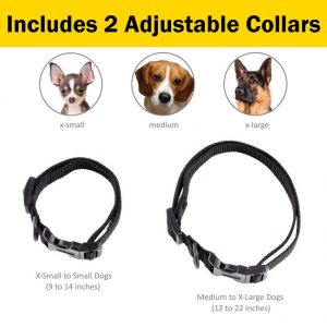 Dog shock collar