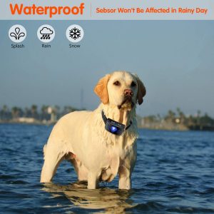 Smart dog bark collar