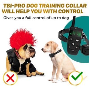 Pro dog training collar