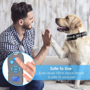 Best Electric dog collar