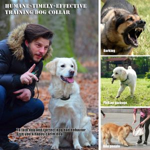 Humne dog training collar