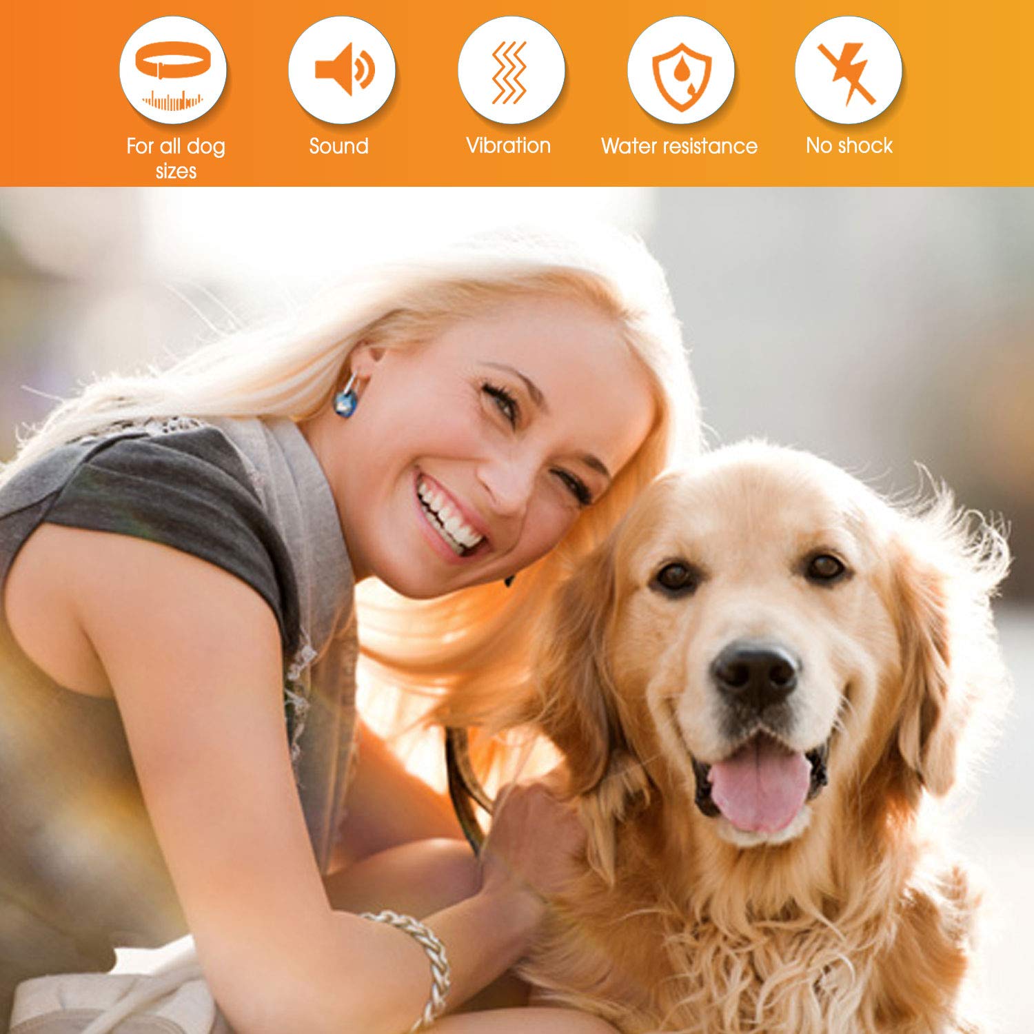 Best dog bark collar