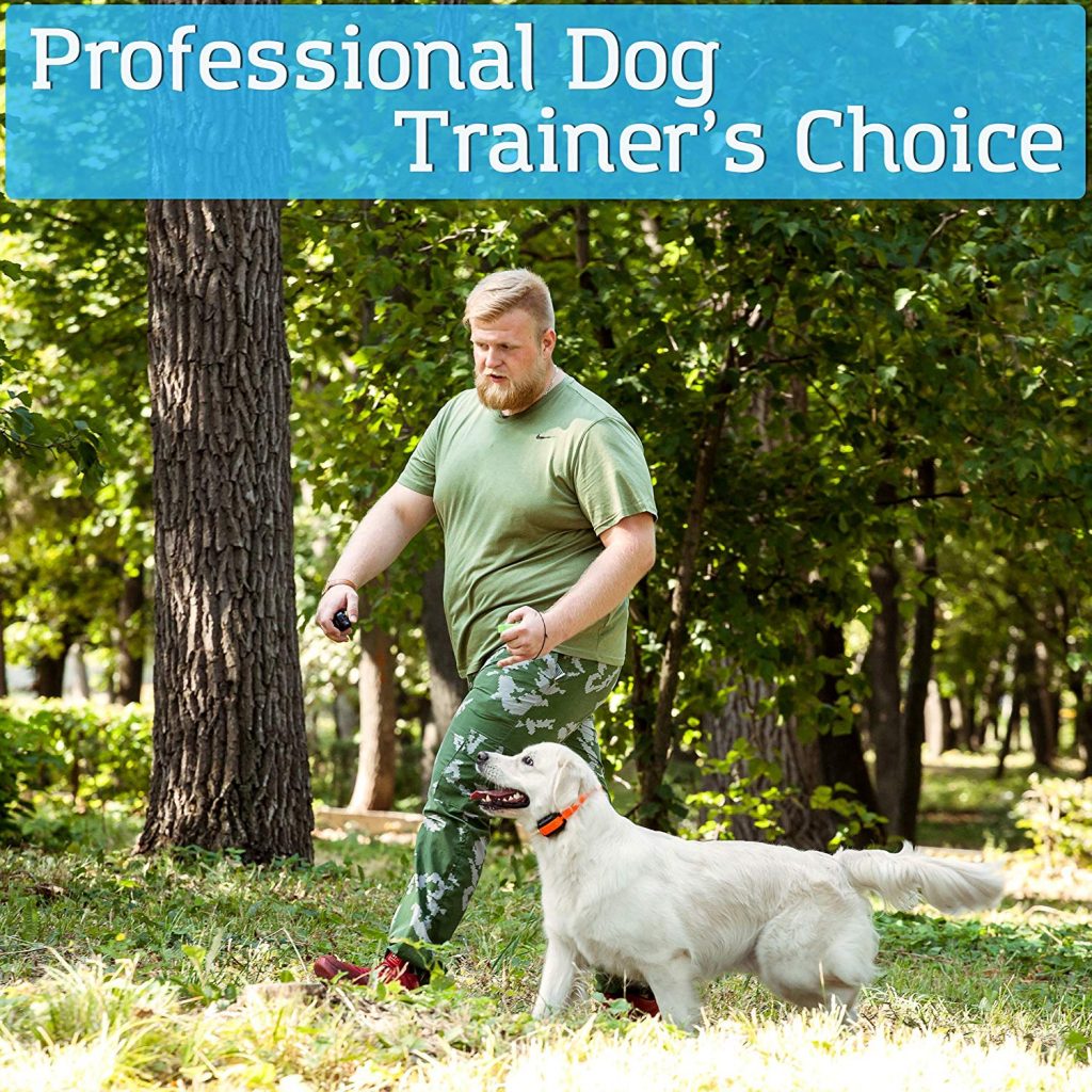 Professional dog electronic collar