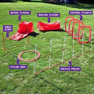 Training kit for dogs