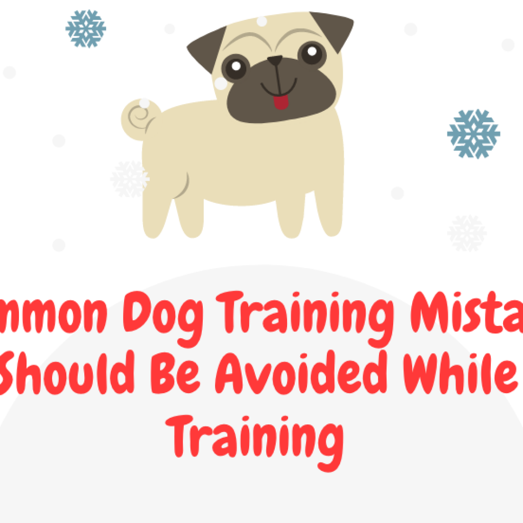 Common dog training mistakes