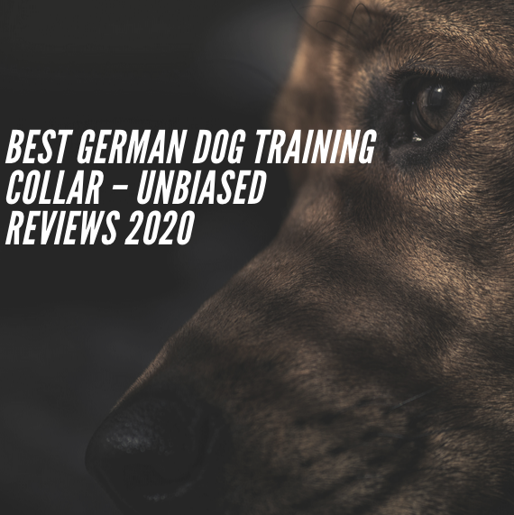Best german dog training collar