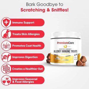 Best dog food for labs