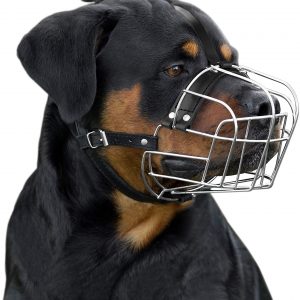 Best dog Muzzle