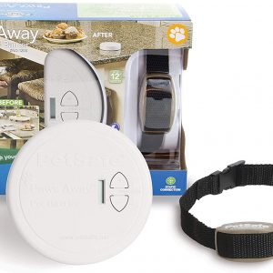 best invisble dog fence