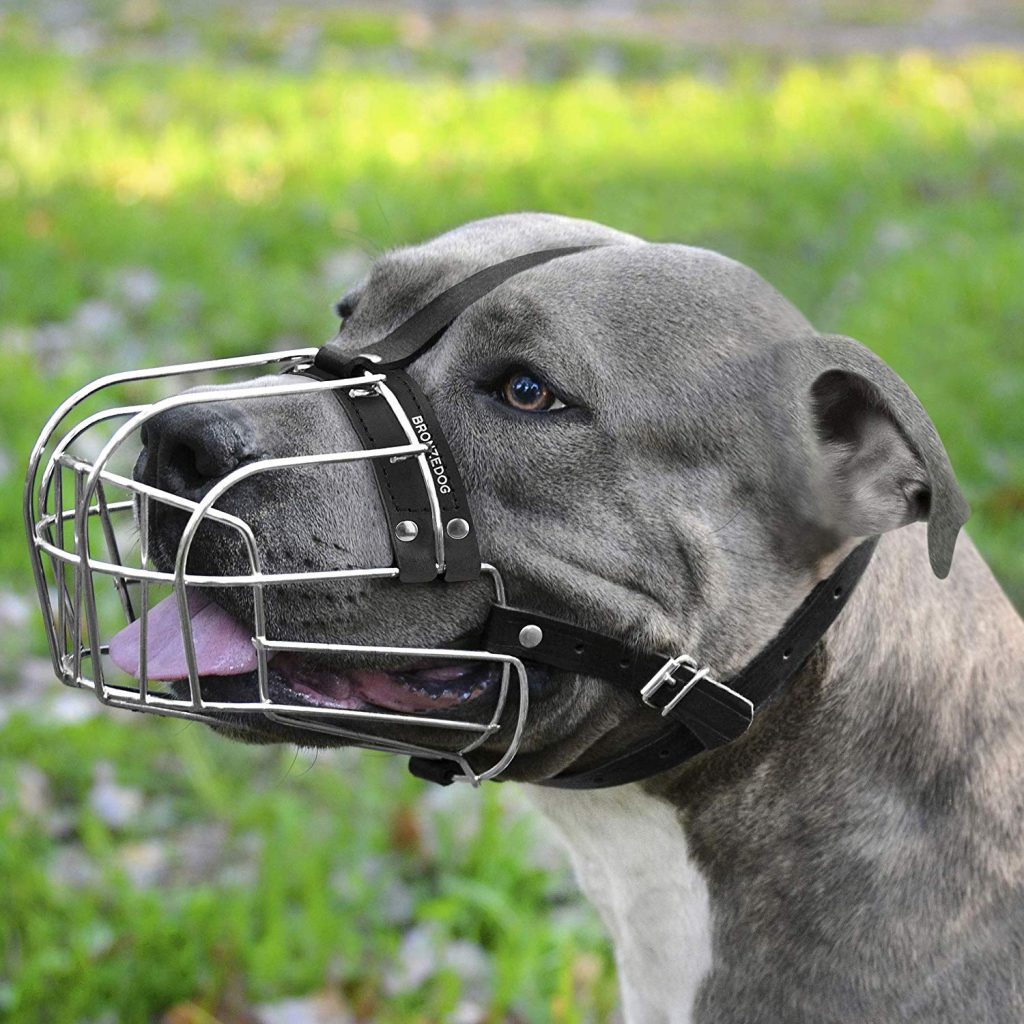 Best buy dog muzzle