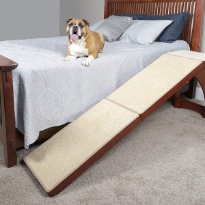 Bed ramp for dogs and cats