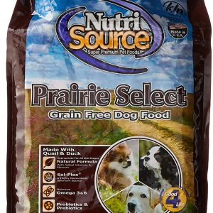 Best dog food for labs