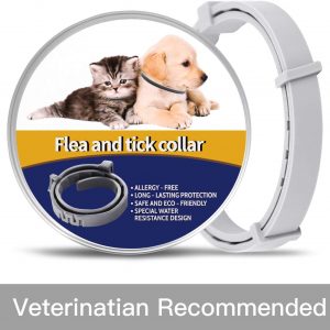 Pet collar for cats and dogs