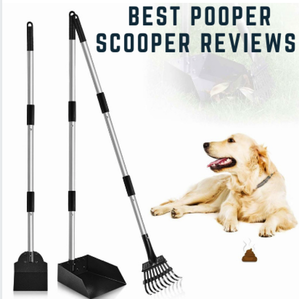 best pooper scooper