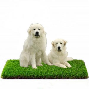 Artificial Grass, Professional Outdoor Grass