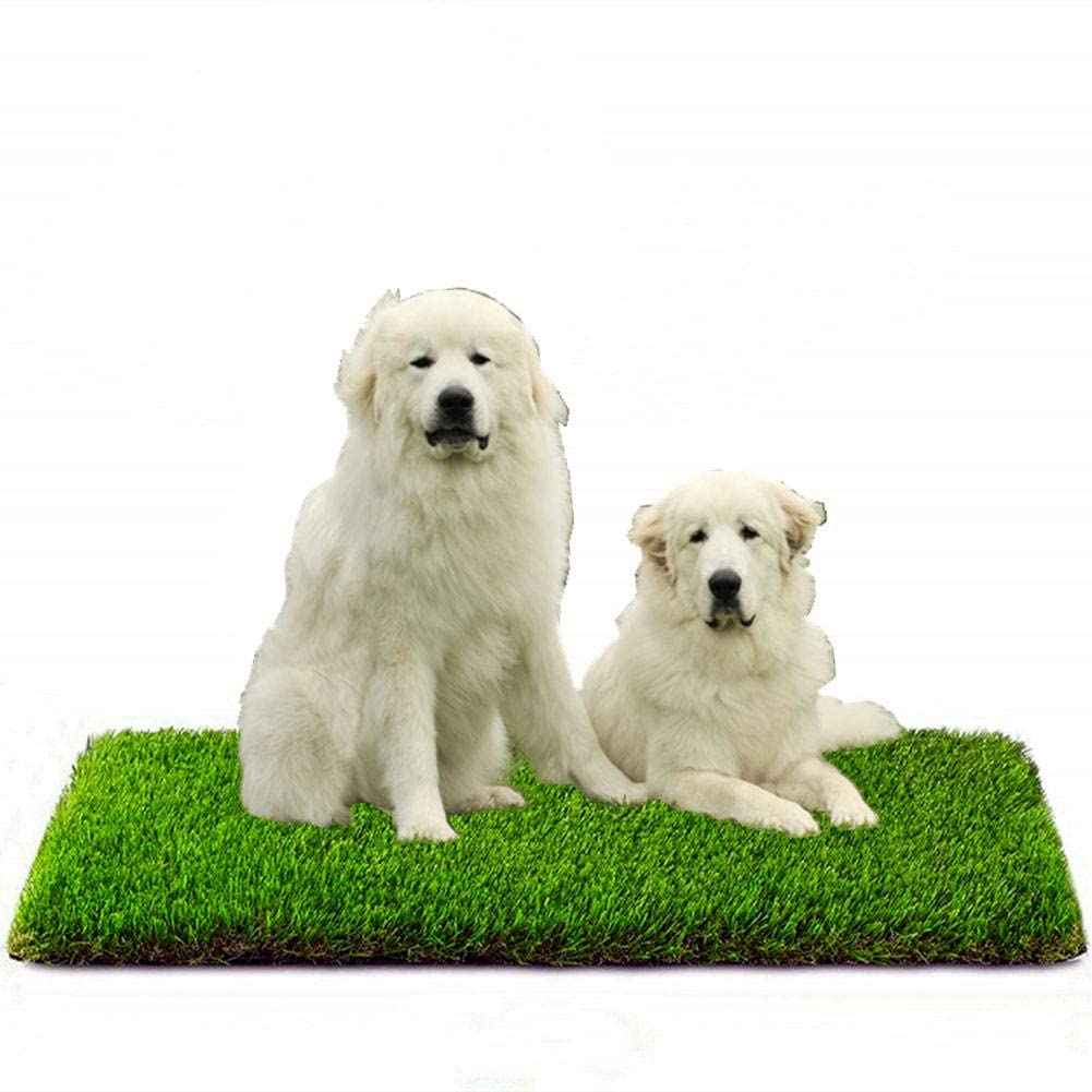 Artificial Grass, Professional Outdoor Grass