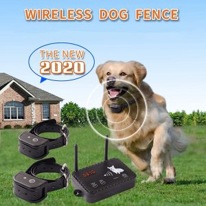 Wireless dog fence system