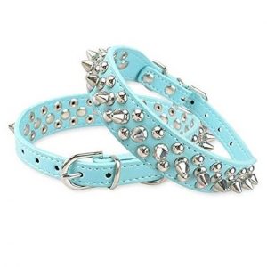 Best personalized dog collar