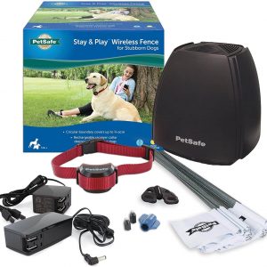 Best wireless dog fence