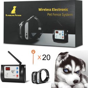 Dog fence system
