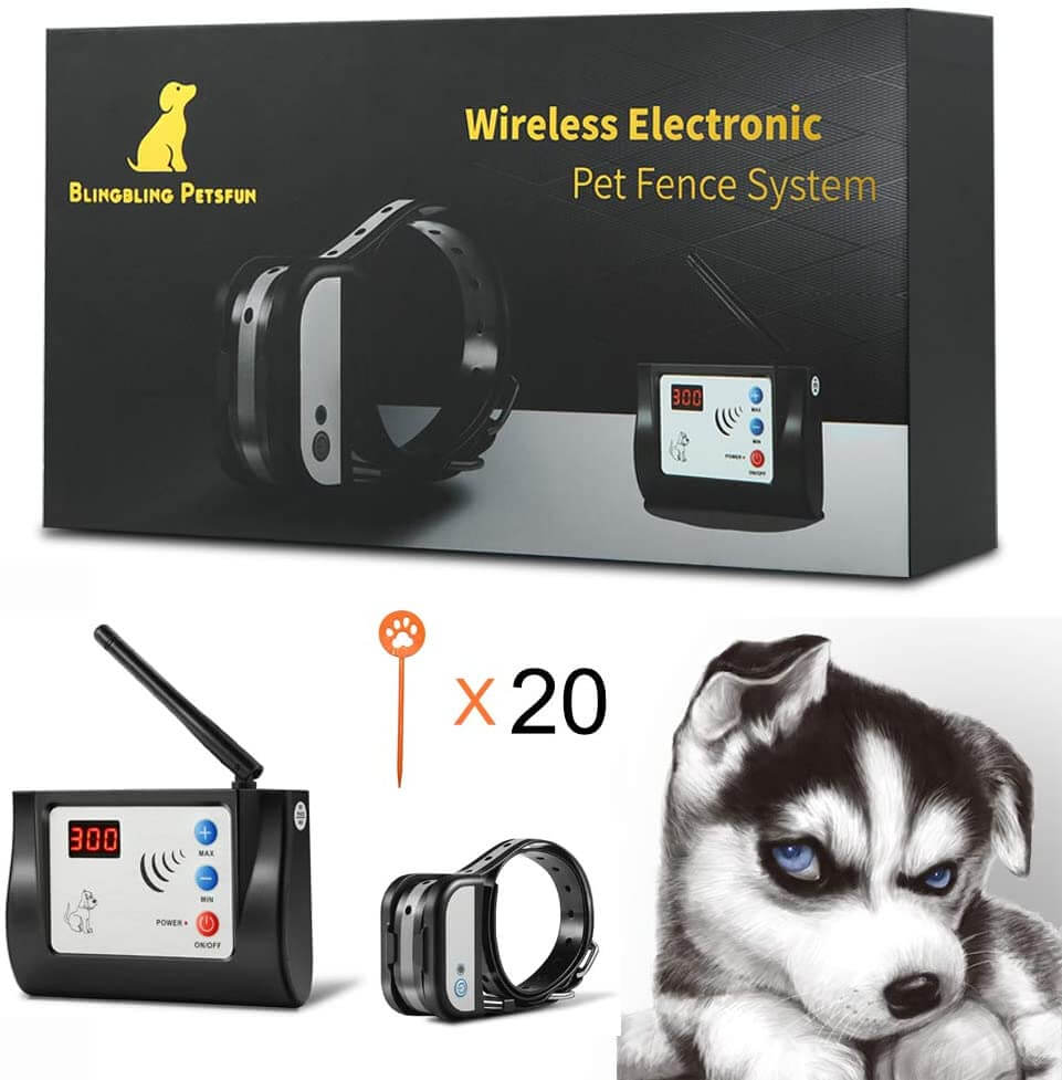 Dog fence system