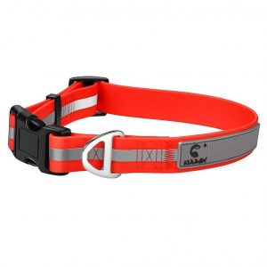 dog collars