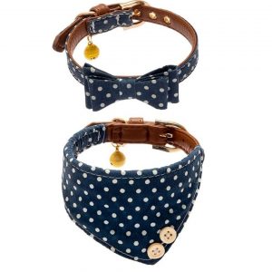 personalized dog collar