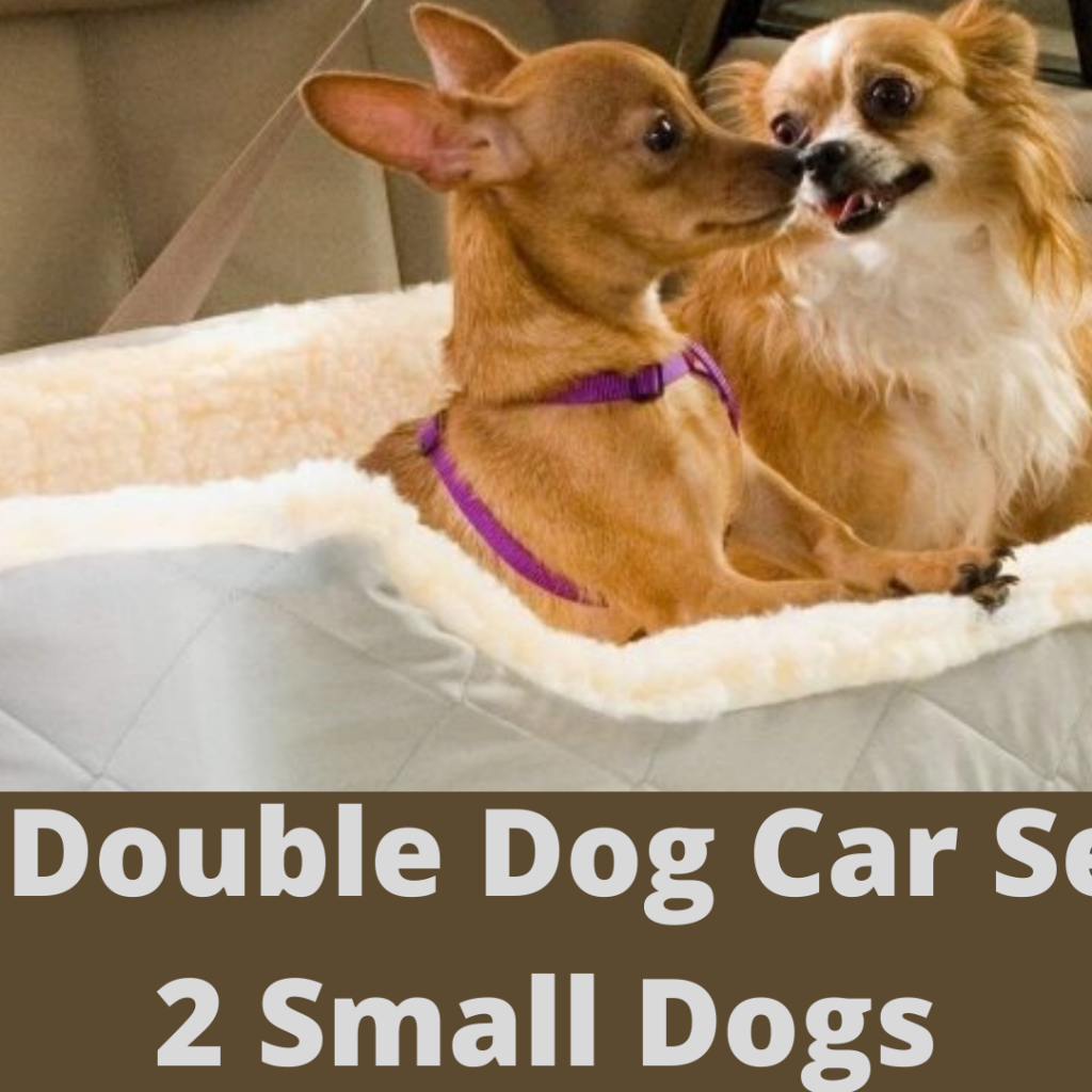 5 Best Double Dog Car Seat For 2 Small Dogs